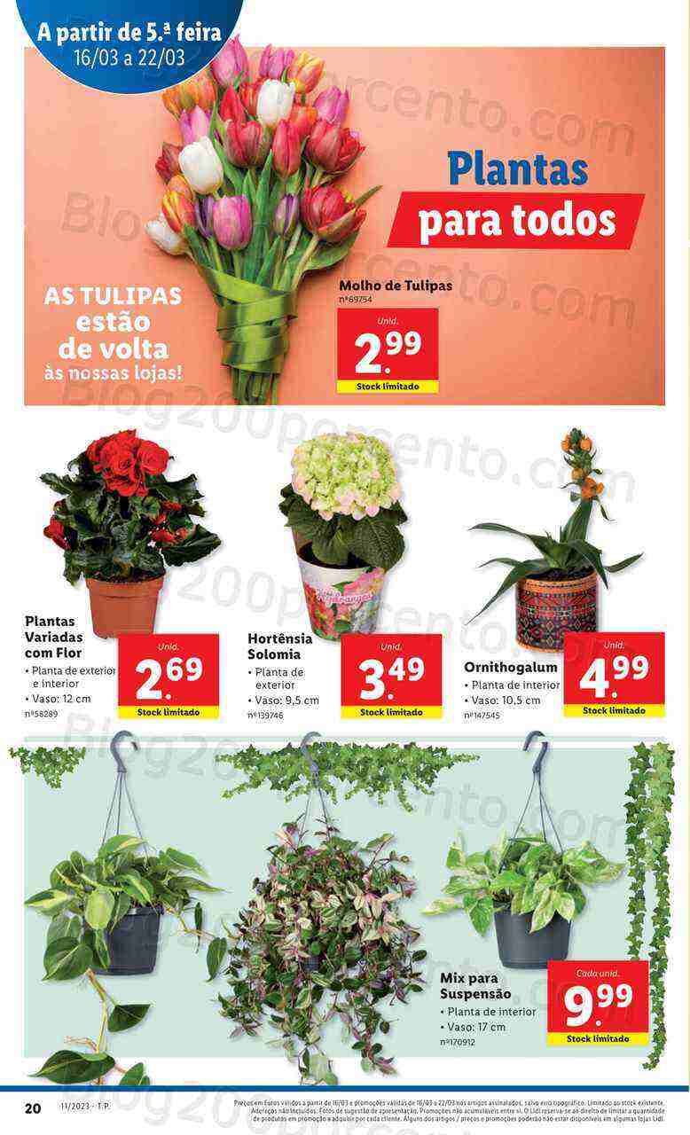 Antevisão Folheto LIDL Promoções de 16 a 22 março
