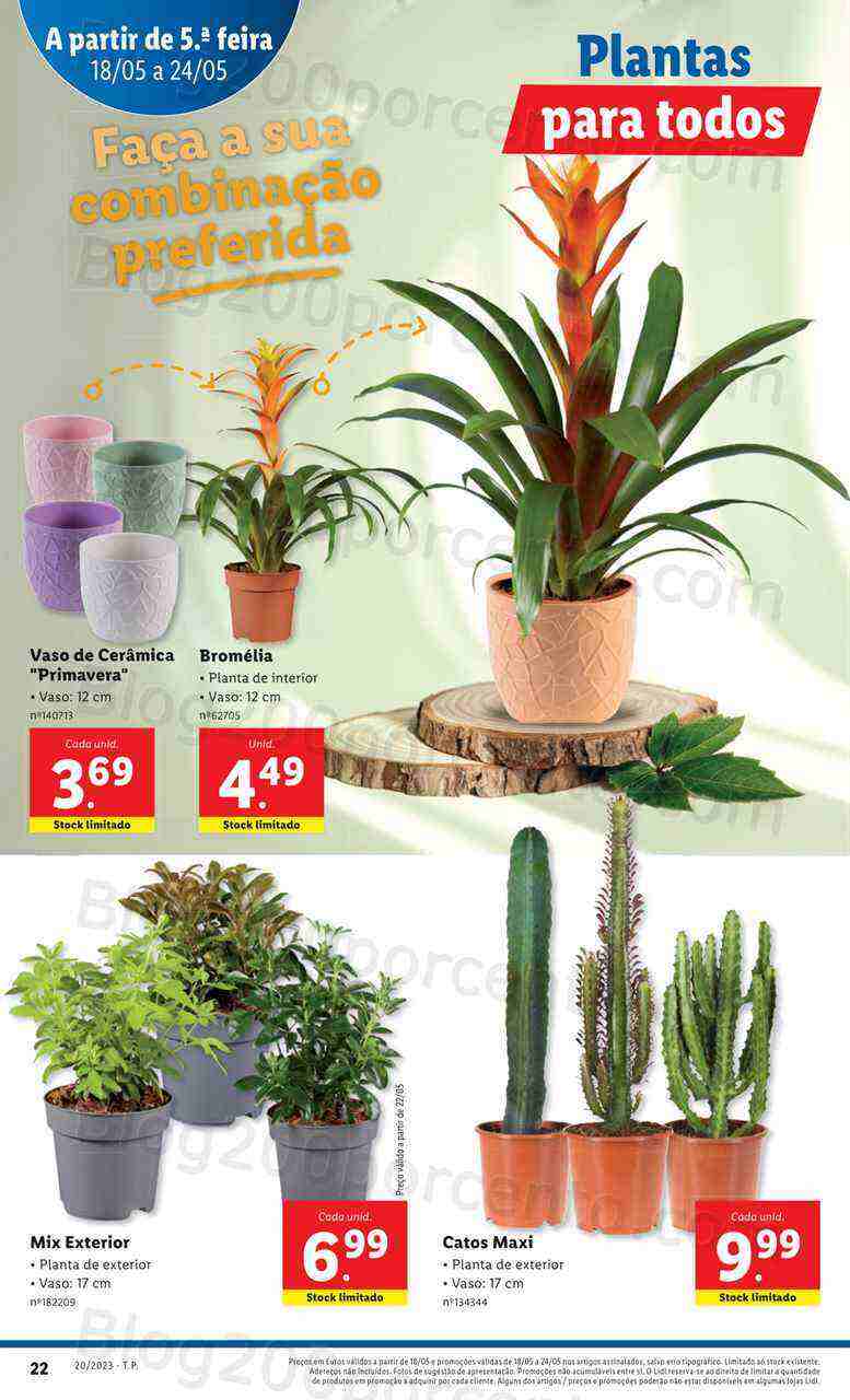 Antevisão Folheto LIDL Mercado de Plantas Promoções de 18 a 24 maio