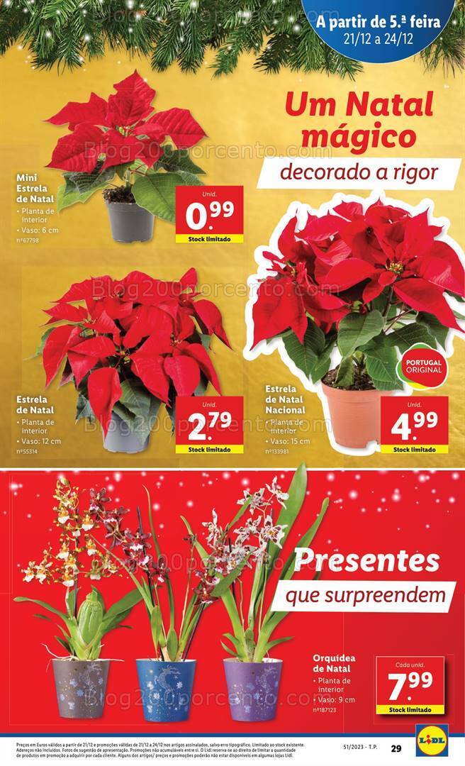 Antevisão Folheto LIDL Essenciais de Natal Promoções de 21 a 24 dezembro