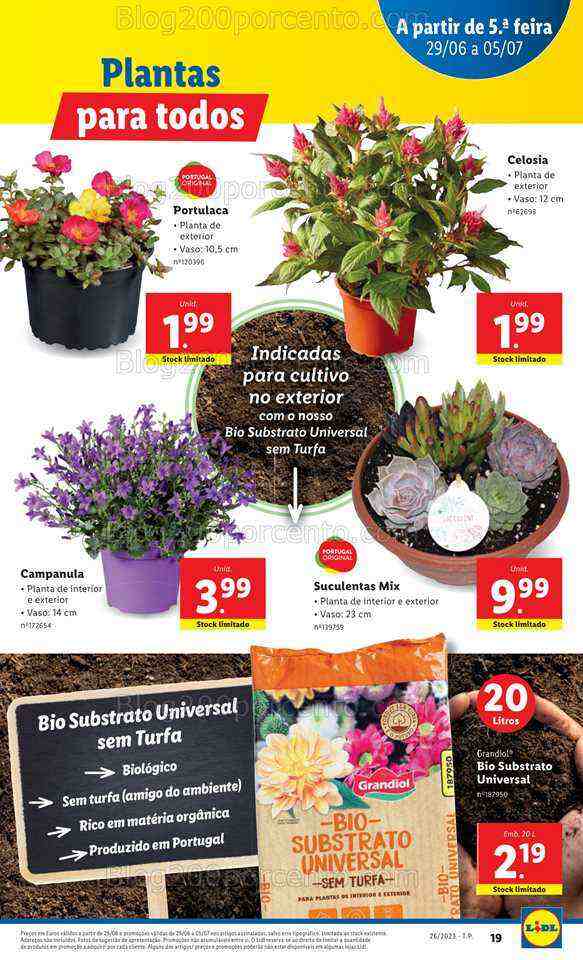Antevisão Folheto LIDL Mercado de Plantas Promoções de 29 junho a 5 julho
