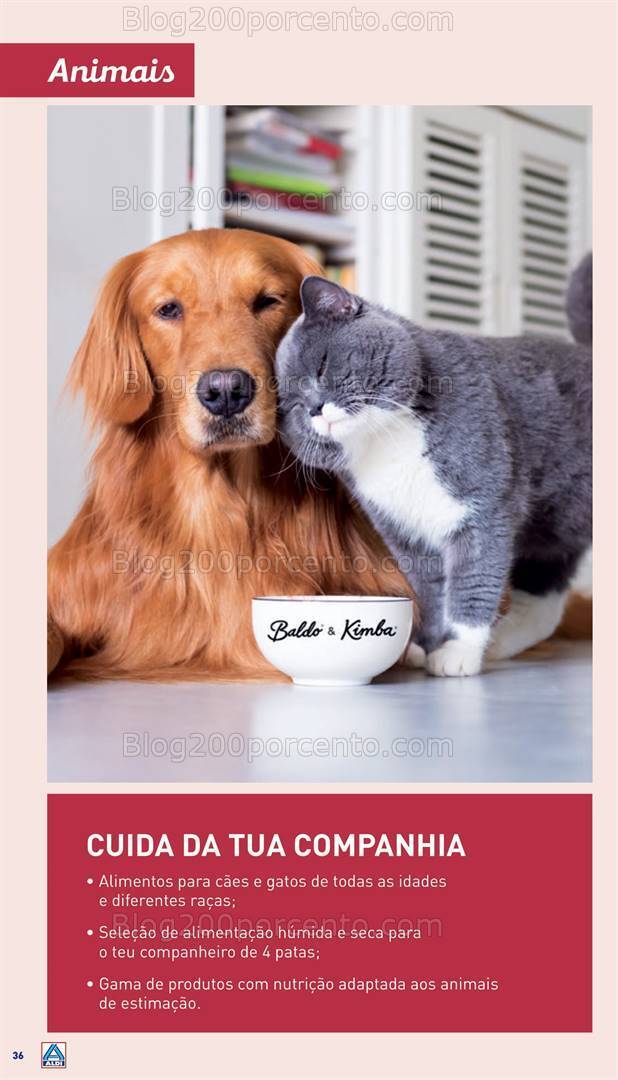 Antevisão Folheto ALDI Saldos + Aberturas Seia Promoções de 10 a 16 janeiro