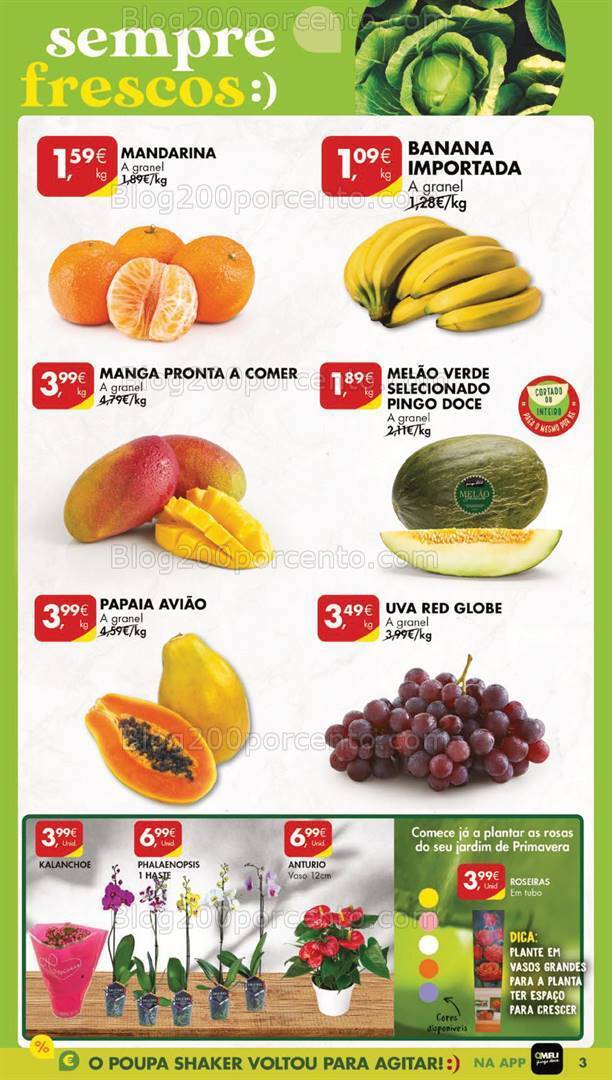 Antevisão Folheto PINGO DOCE Lojas Grandes Promoções de 9 a 15 janeiro