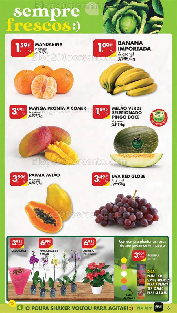Antevisão Folheto PINGO DOCE Lojas Pequenas Promoções de 9 a 15 janeiro