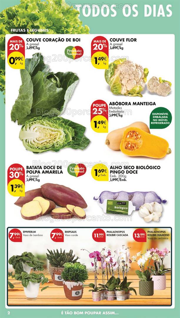 Antevisão Folheto PINGO DOCE Lojas Grandes Promoções de 28 janeiro a 3 fevereiro