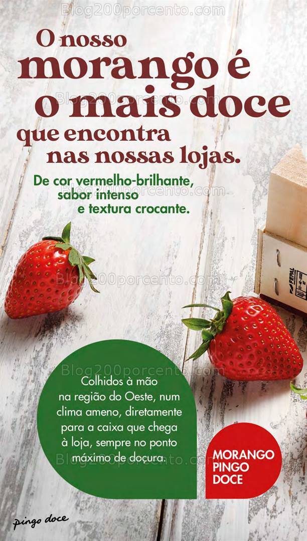 Antevisão Folheto PINGO DOCE Lojas Pequenas Promoções de 19 a 25 março