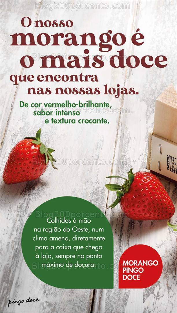 Antevisão Folheto PINGO DOCE Lojas Grandes Promoções de 19 a 25 março