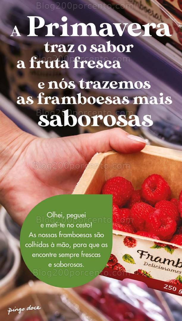 Antevisão Folheto PINGO DOCE Lojas Grandes Promoções de 30 abril a 6 maio