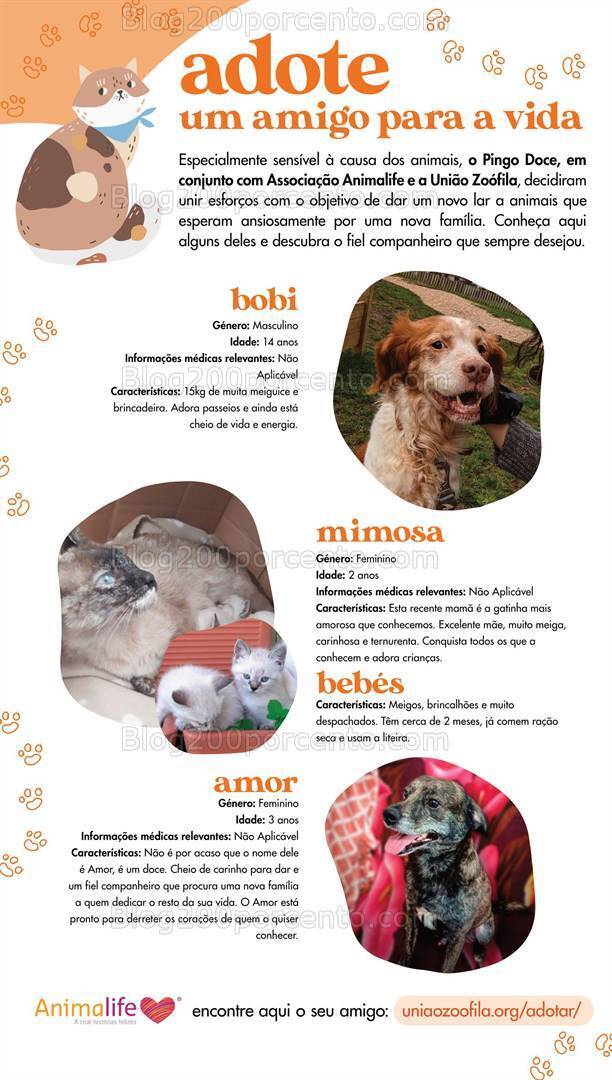 Antevisão Folheto PINGO DOCE Pet Food Promoções de 28 maio a 10 junho