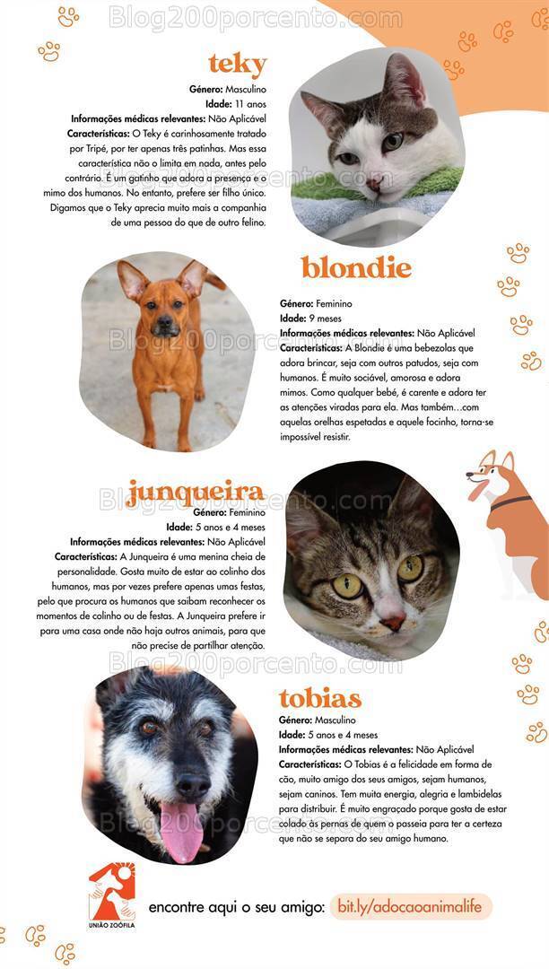 Antevisão Folheto PINGO DOCE Pet Food Promoções de 28 maio a 10 junho