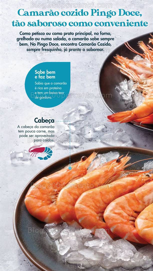 Antevisão Folheto PINGO DOCE Lojas Grandes Promoções de 13 a 19 agosto