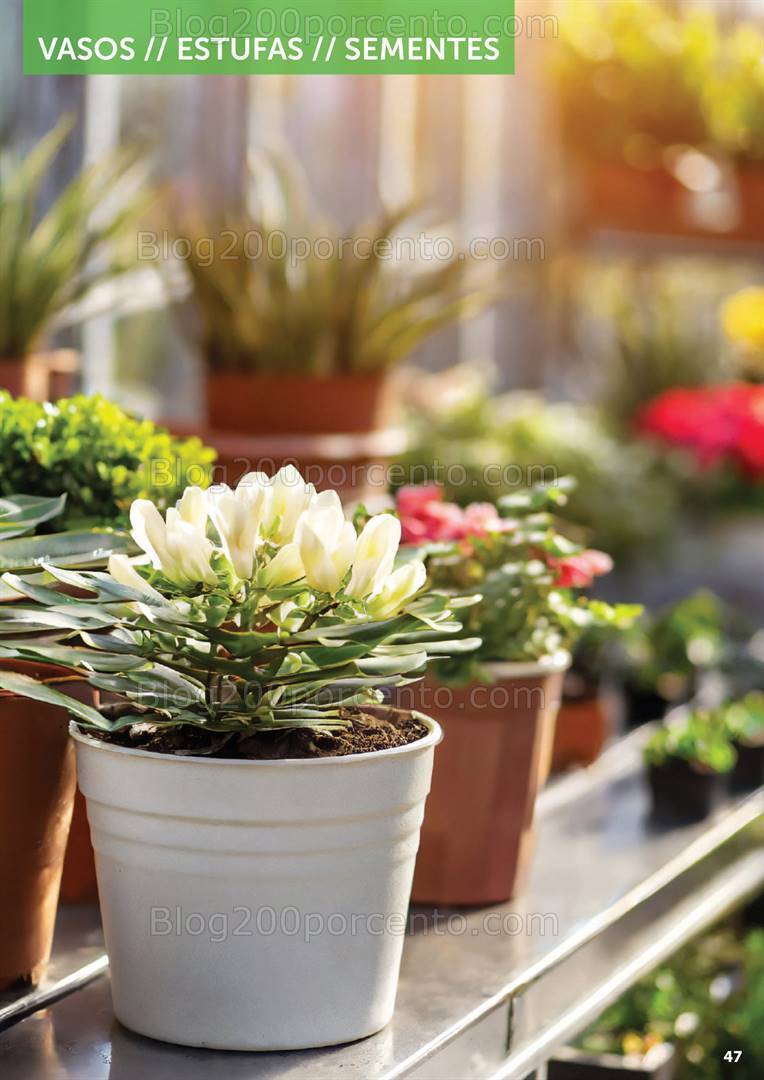 Antevisão Folheto AGRILOJA Catálogo Jardim Promoções até 21 de Julho