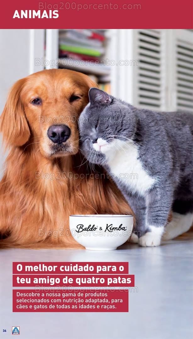 Antevisão Folheto ALDI Saldos + Aberturas Promoções de 4 a 10 setembro