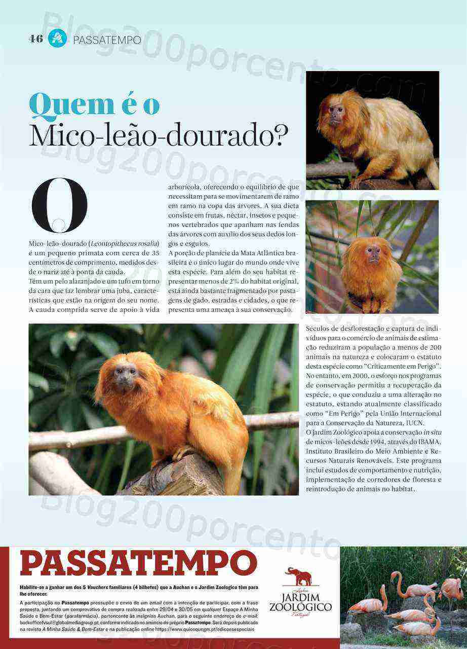 Antevisão Folheto AUCHAN Saúde e Bem-Estar Promoções de 29 abril a 30 maio