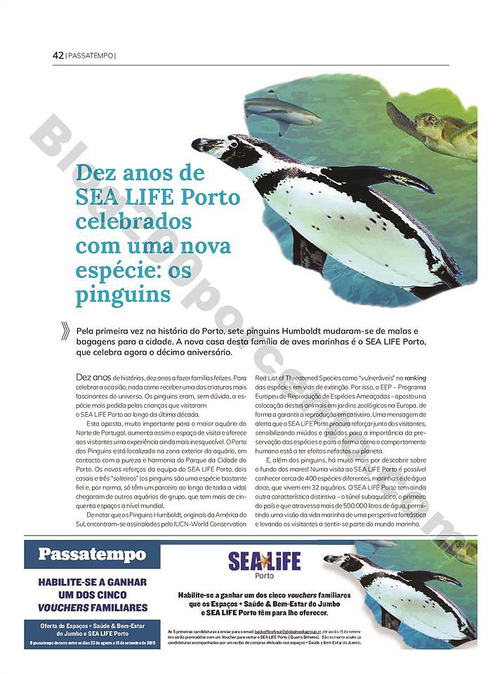 Parasi verao agosto_041.jpg