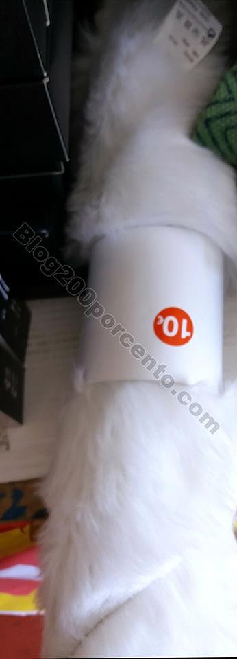 avista cnt 31 julho_2.jpg