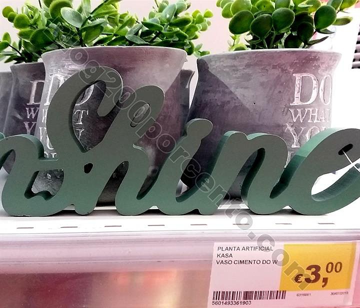 avista cnt 31 julho_23.jpg