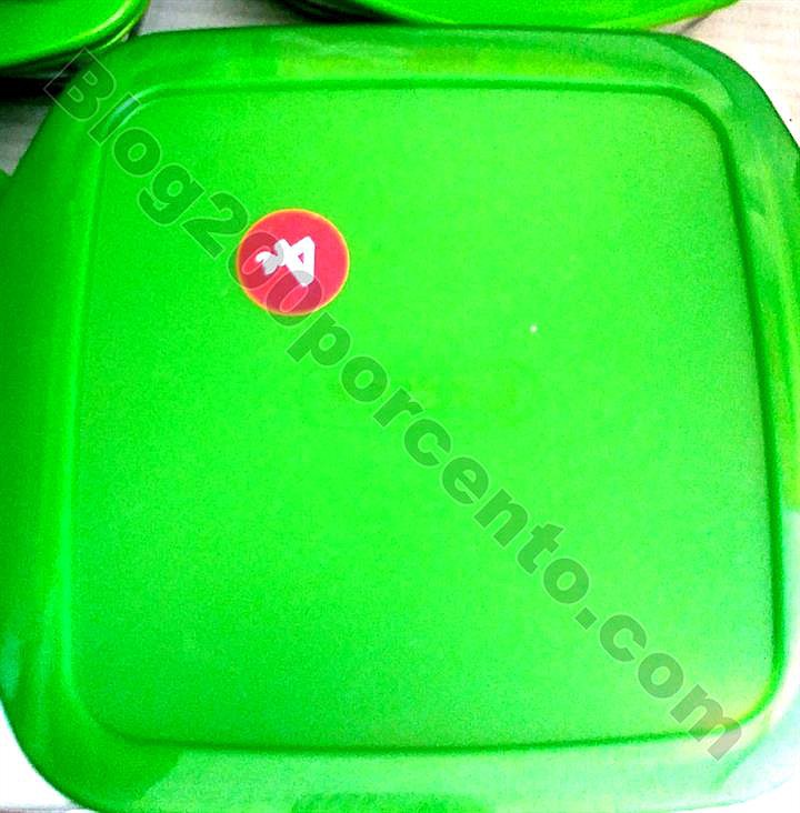 avistamentos 7 agosto_4.jpg