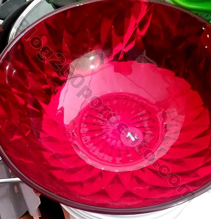 avistamentos 7 agosto_5.jpg