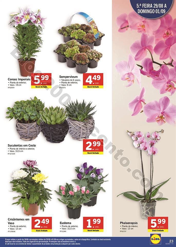 lidl folheto 25 agsoto_038.jpg