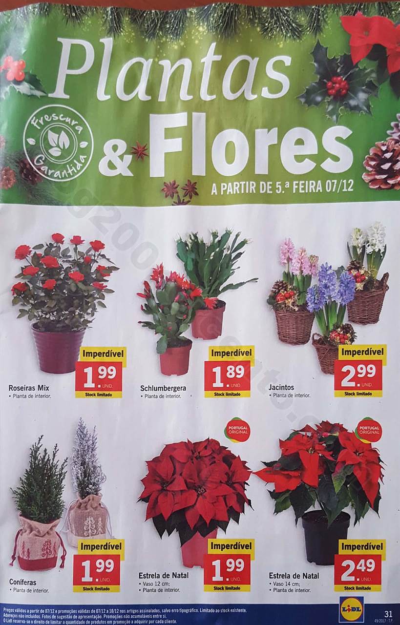 Novo Documento 2017-11-29_31.jpg