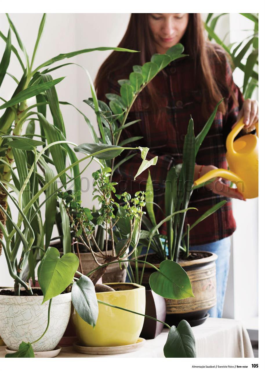 especial vida saudável lidl a partir de 4 janeiro