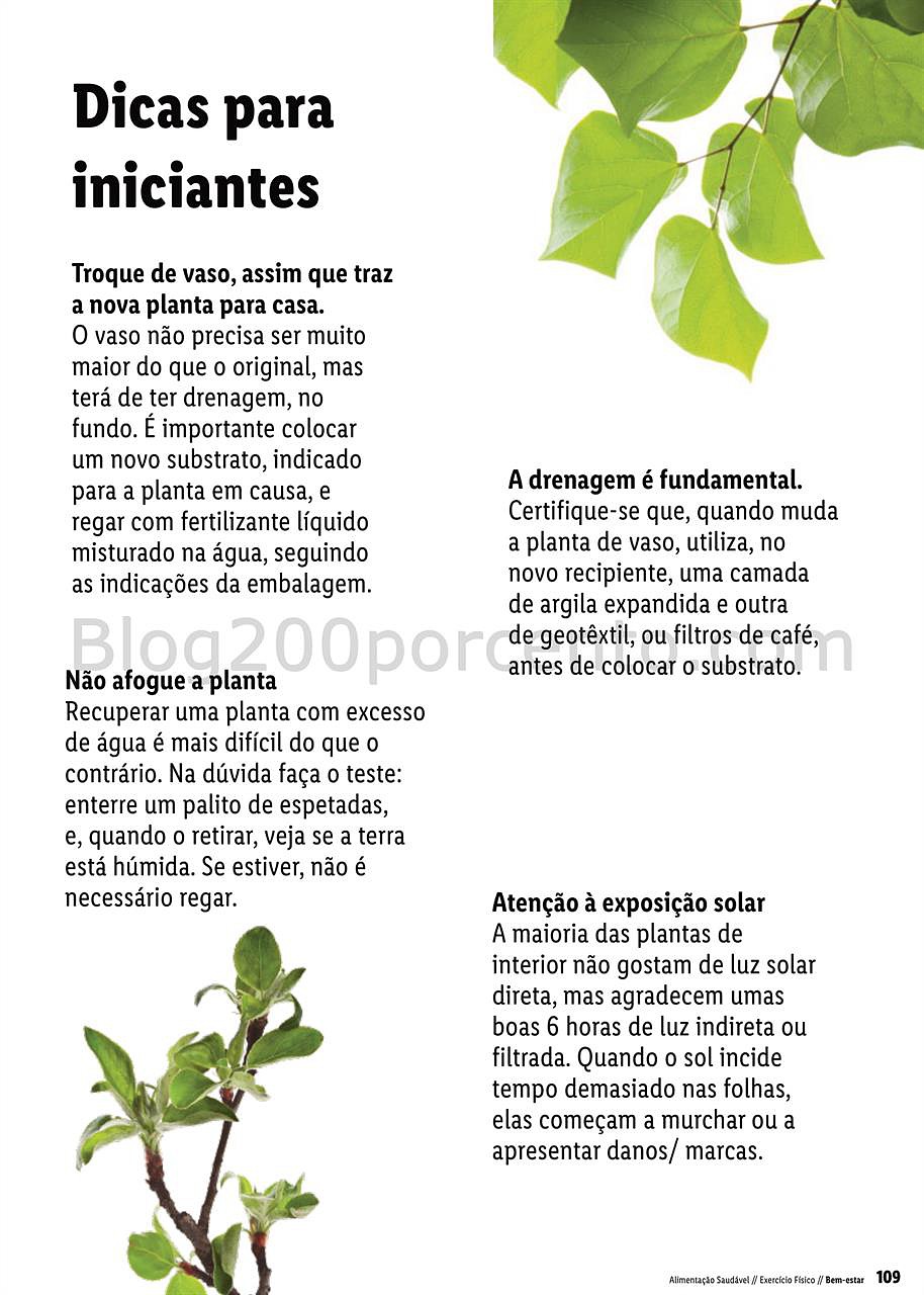 especial vida saudável lidl a partir de 4 janeiro