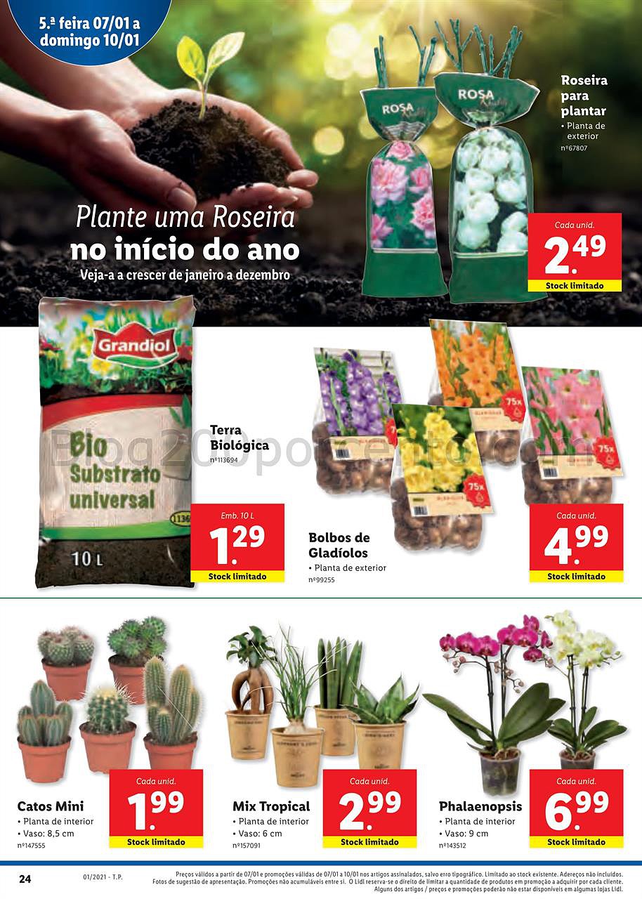 lidl 4 a 10 janeiro