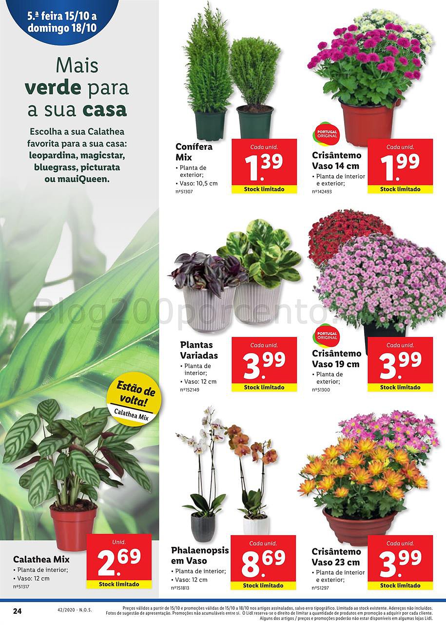 Antevisão Folheto LIDL Promoções de 12 a 18 outubro p24.jpg