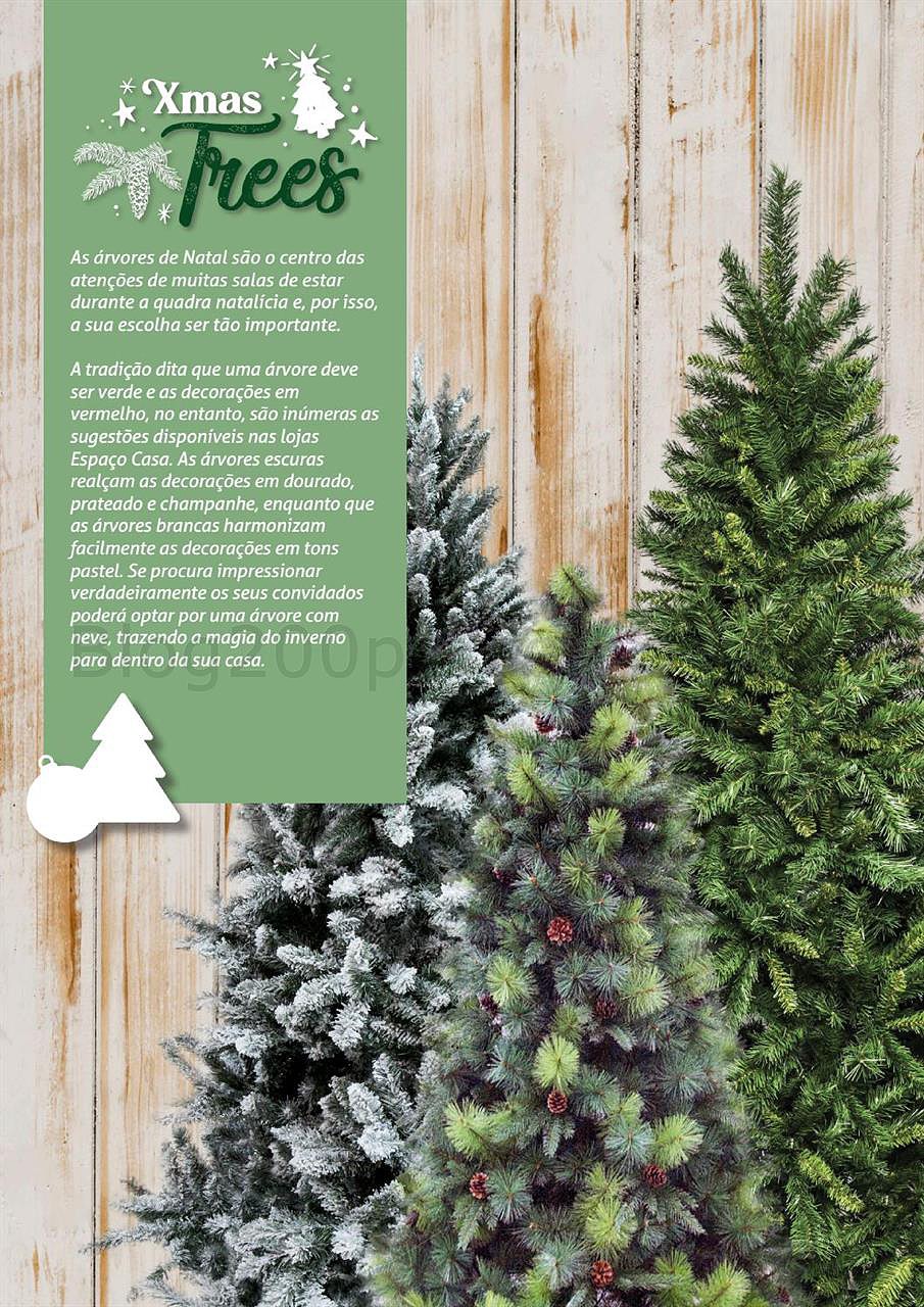 espaço casa natal-19.jpg