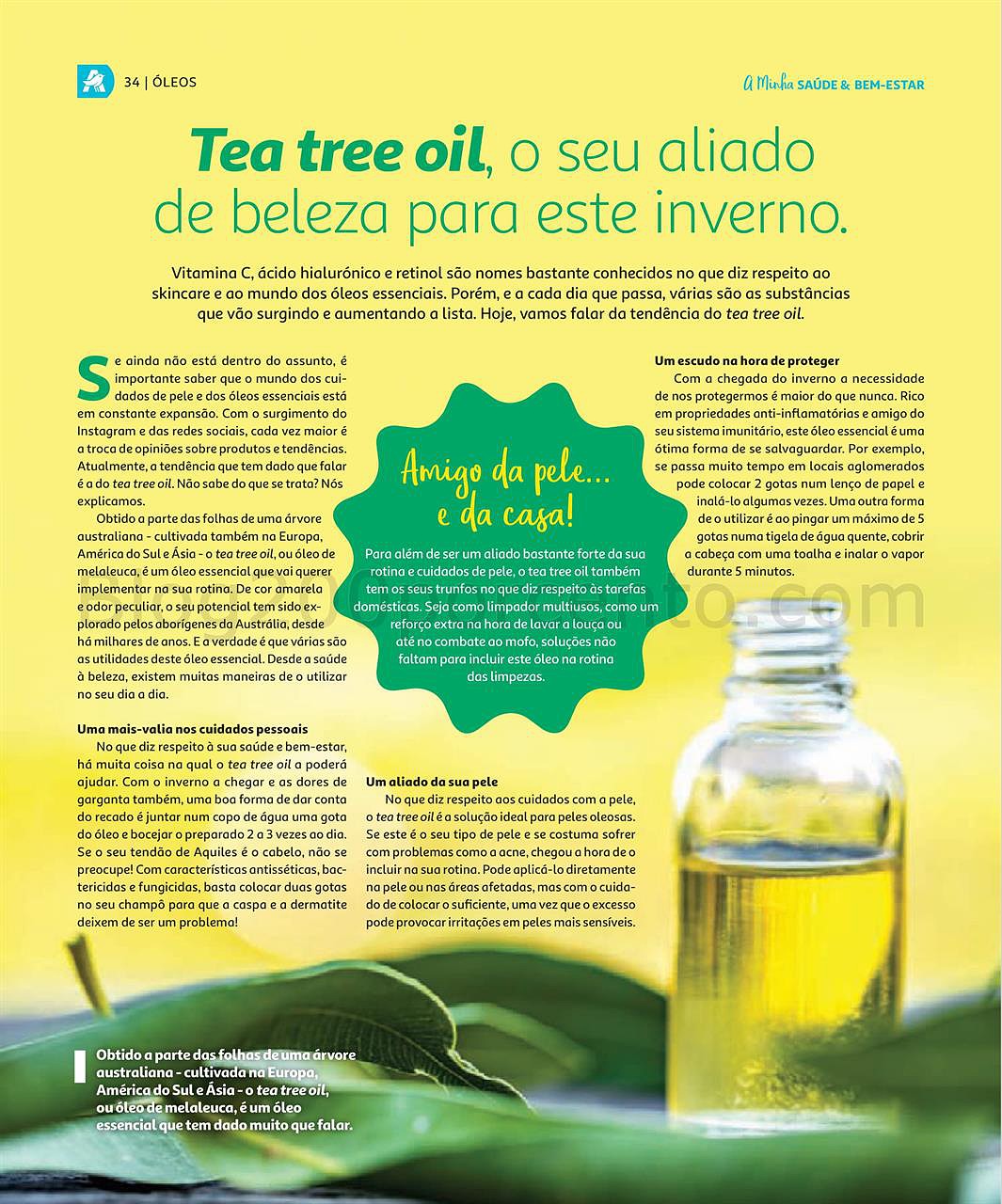 saúde e bem estar natal-01.jpg