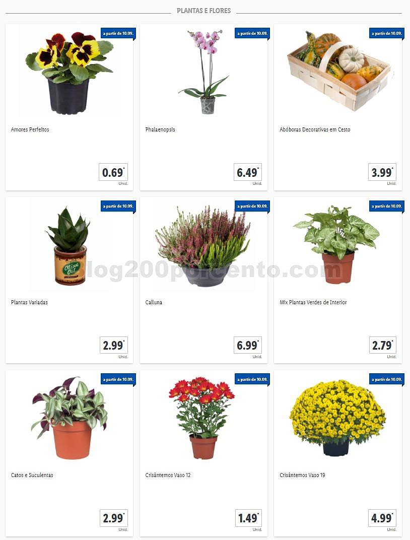 01 Promoções-Descontos-38694.jpg