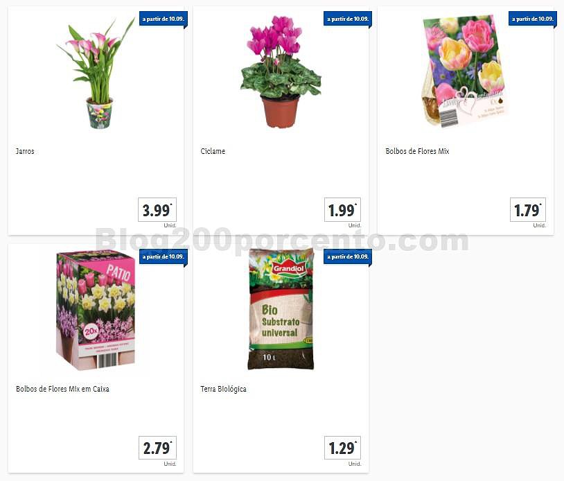 01 Promoções-Descontos-38695.jpg