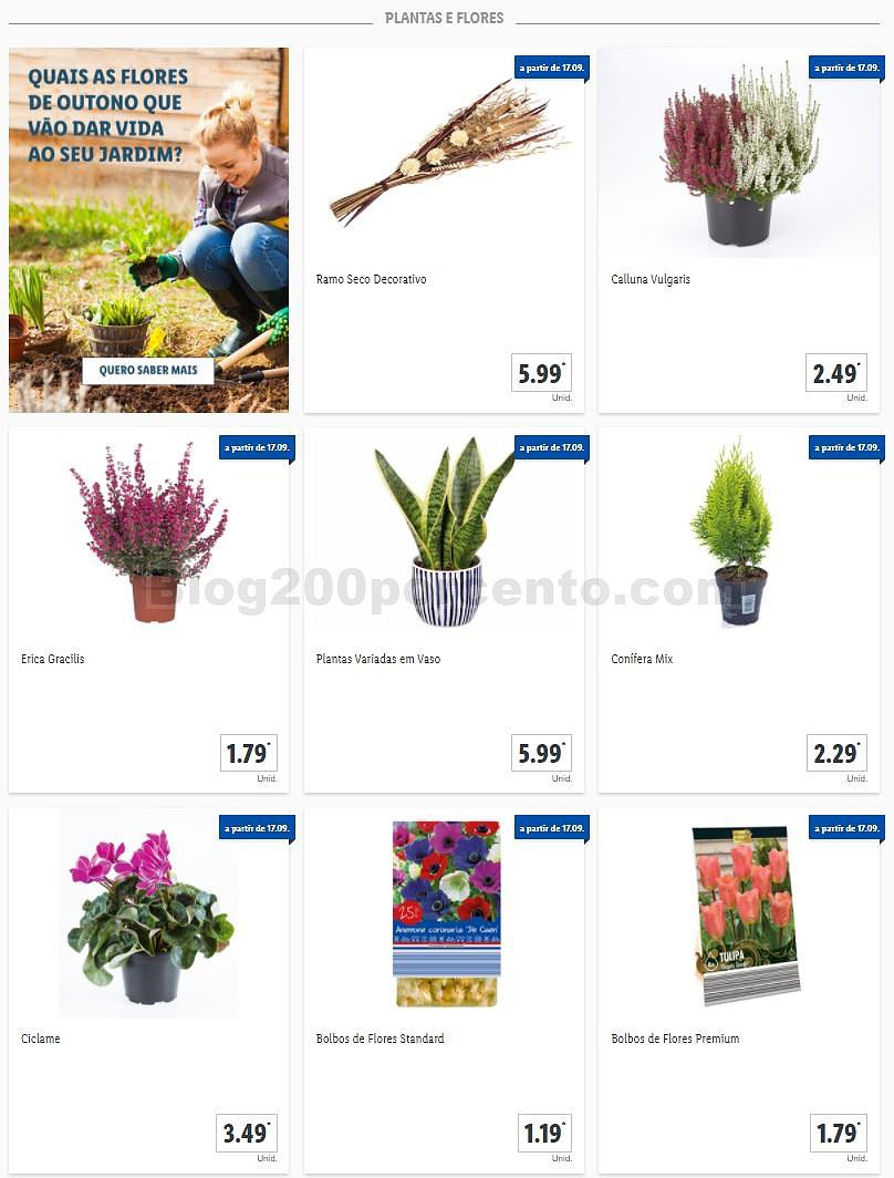 01 Promoções-Descontos-38696.jpg