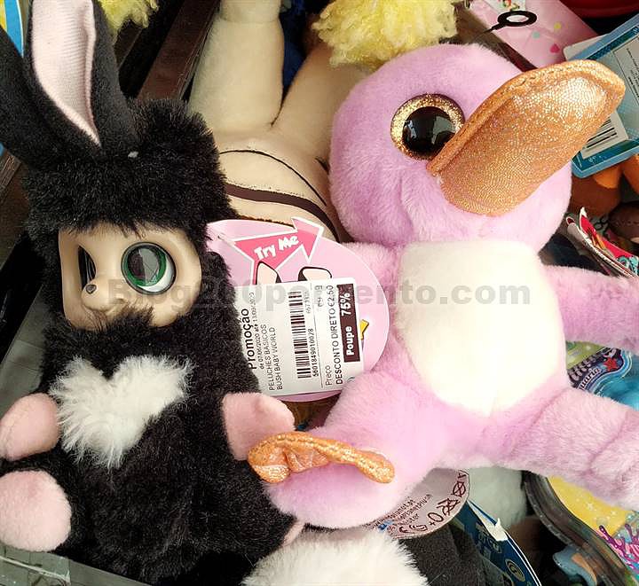 avista 29 julho_4.jpg