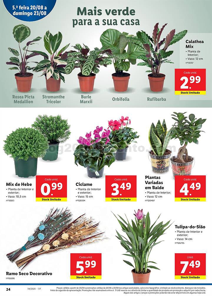 lidl 17 a 23 agosto-24.jpg