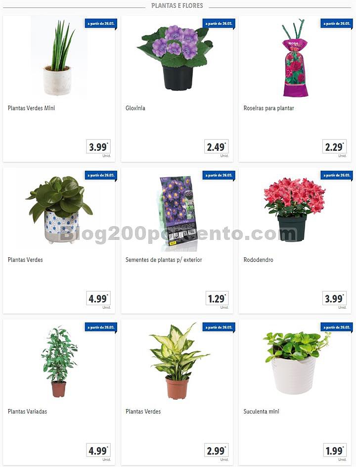 01 Promoções-Descontos-36962.jpg