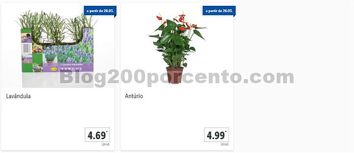 01 Promoções-Descontos-36963.jpg