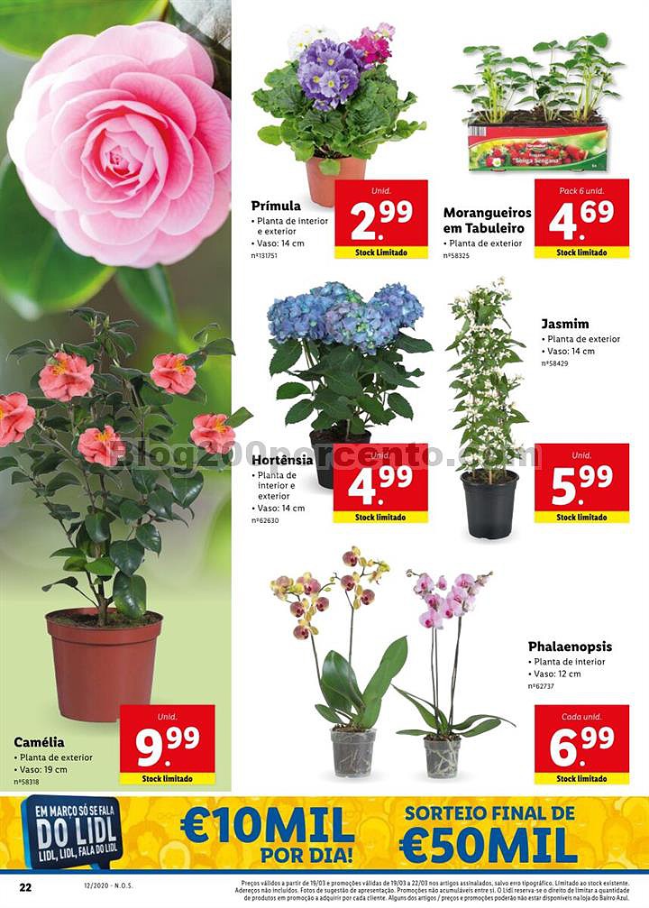 Antevisão Folheto LIDL Promoções de 16 a 22 março p39.jpg
