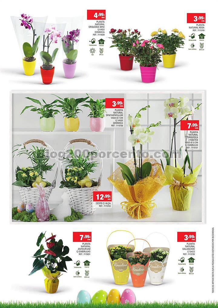 Continente Páscoa madeira p27.jpg