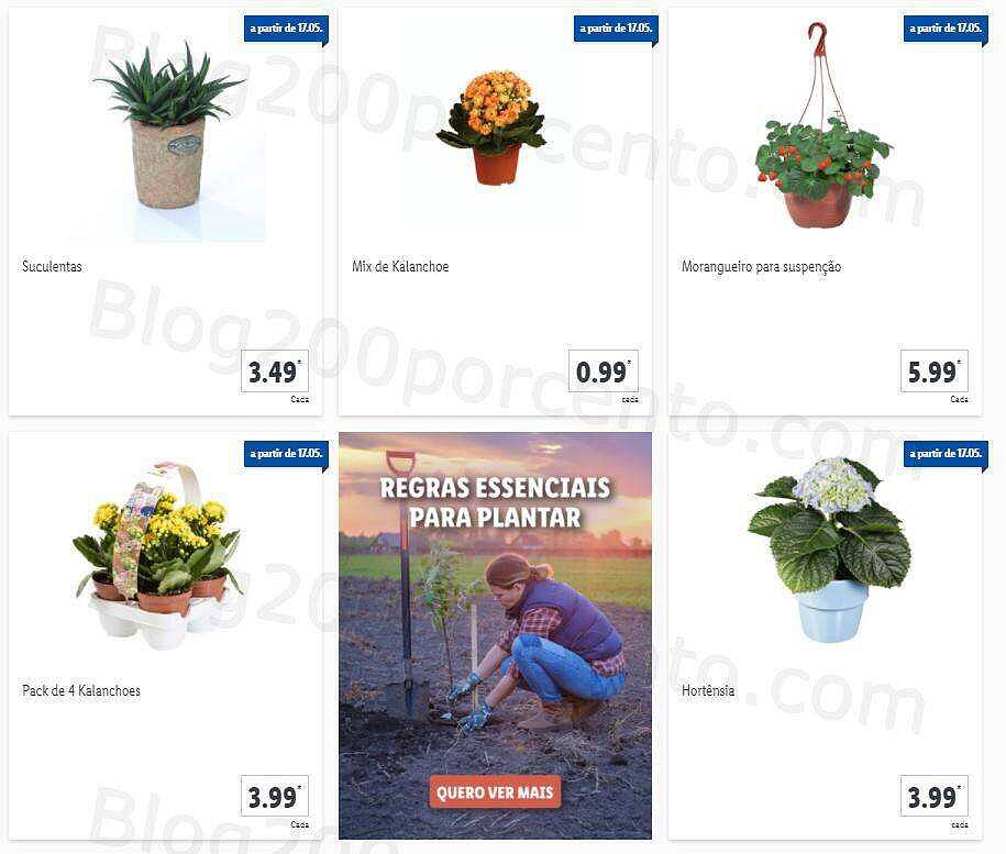 01 Promoções-Descontos-40596.jpg