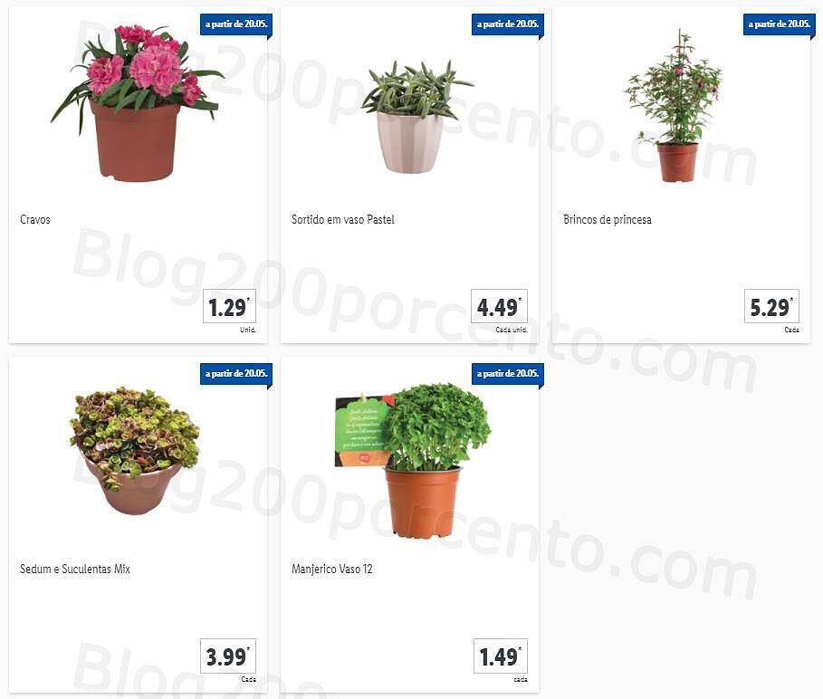 01 Promoções-Descontos-40597.jpg