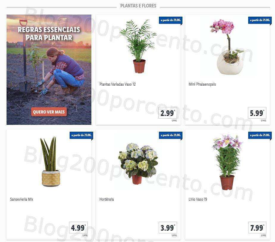 01 Promoções-Descontos-40989.jpg