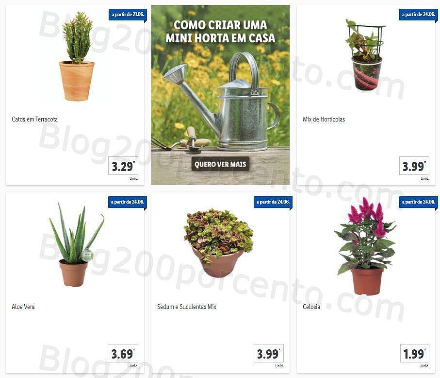 01 Promoções-Descontos-40990.jpg