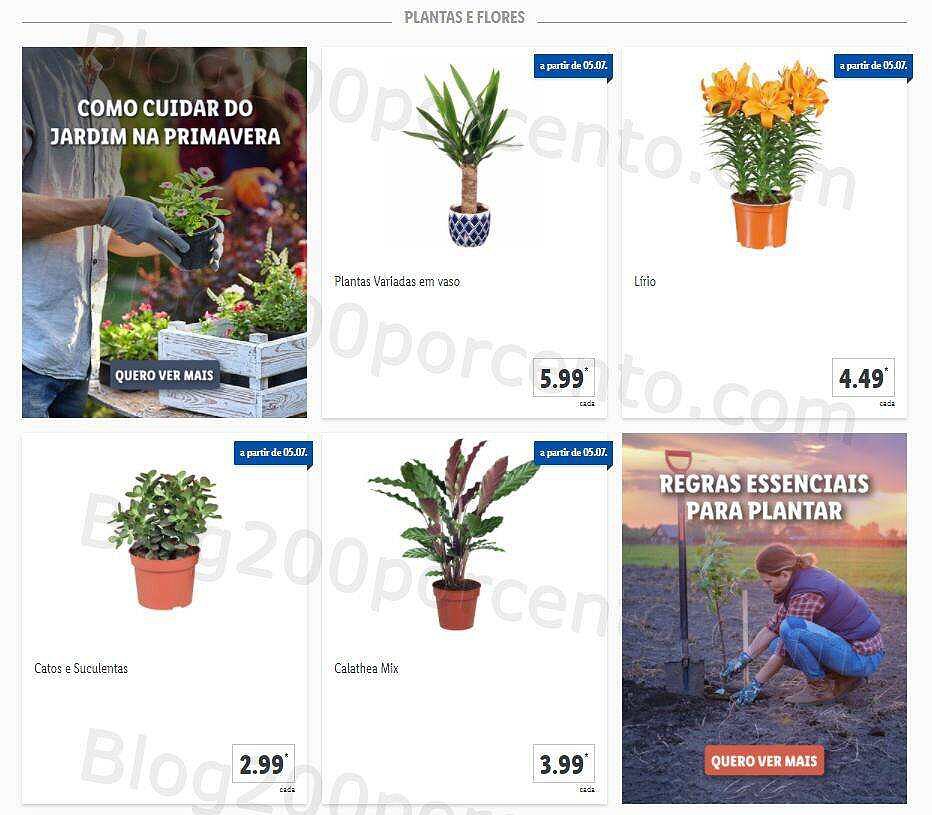 01 Promoções-Descontos-41163.jpg