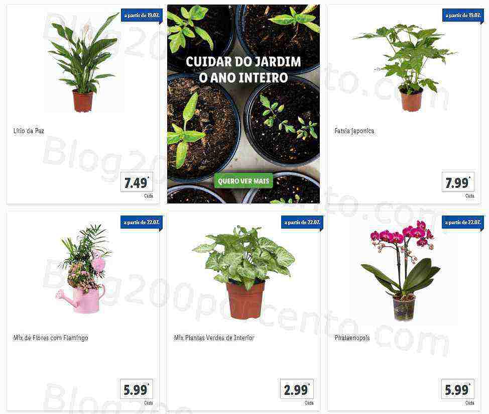 01 Promoções-Descontos-41278.jpg