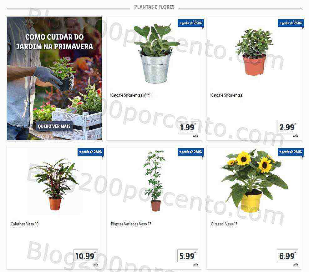 01 Promoções-Descontos-41367.jpg