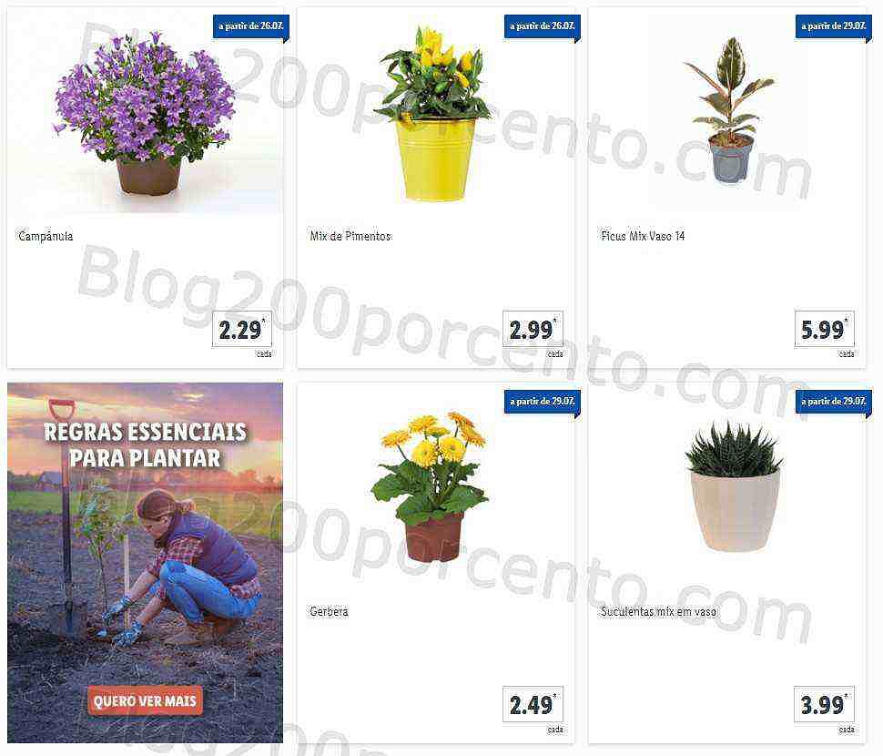 01 Promoções-Descontos-41368.jpg