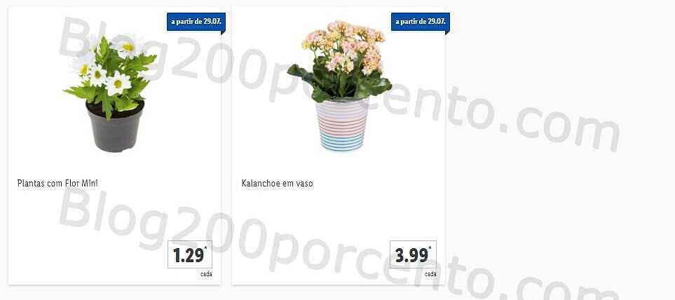 01 Promoções-Descontos-41369.jpg