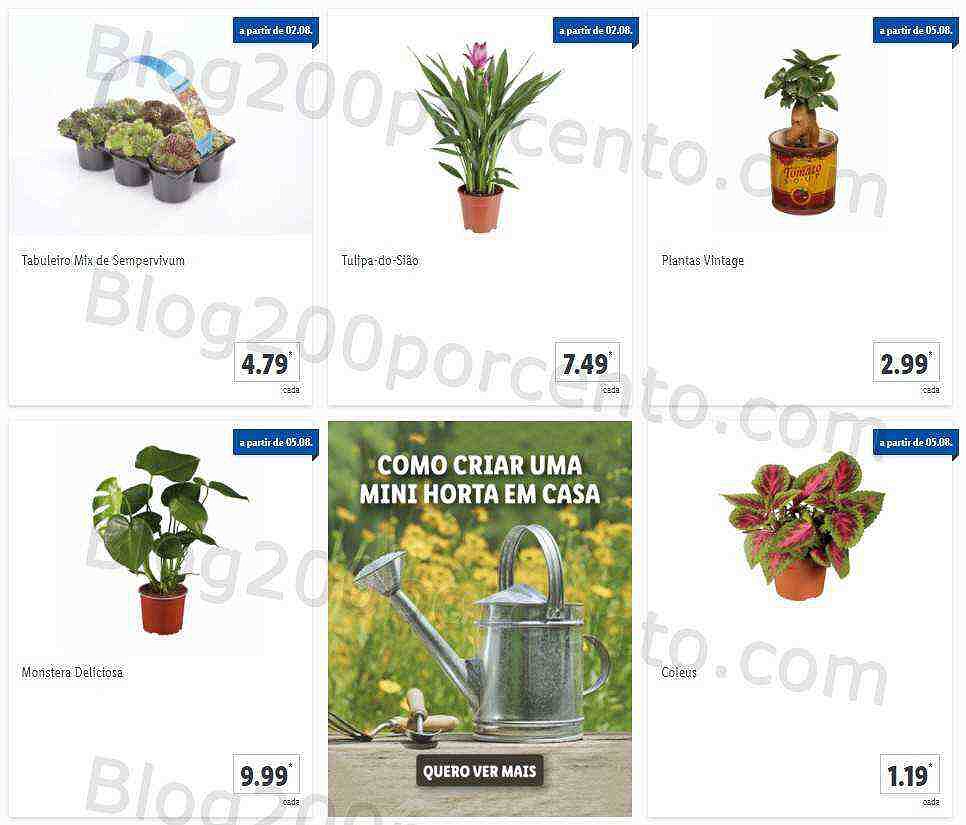 01 Promoções-Descontos-41441.jpg