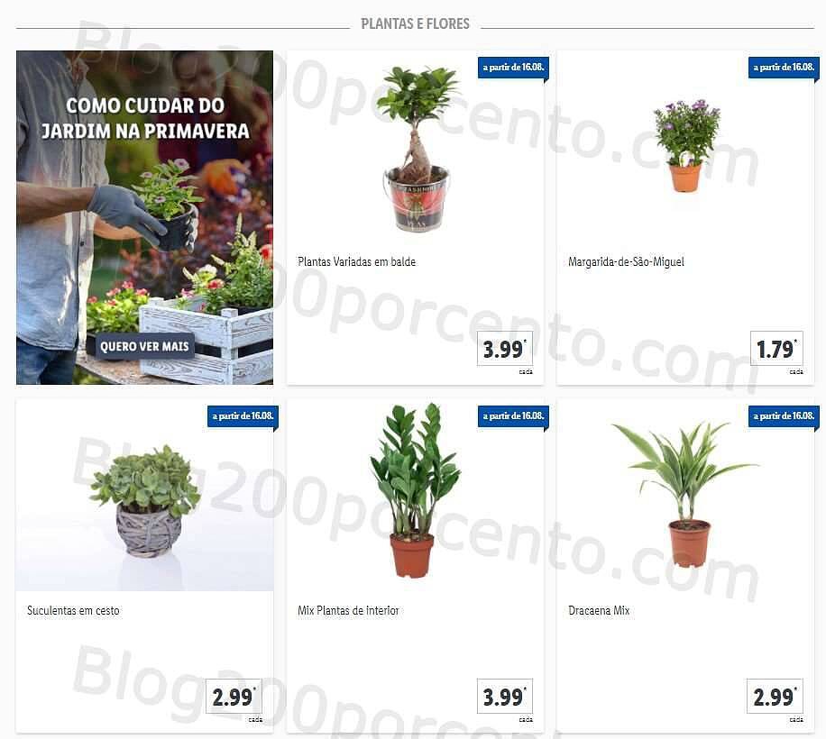 01 Promoções-Descontos-41532.jpg